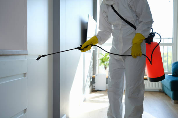 Professional Mold Remediation in Yoe, PA